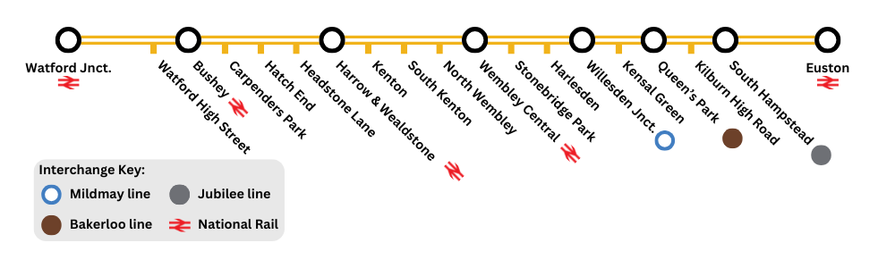 line-diagram-lioness line-diagram-lioness